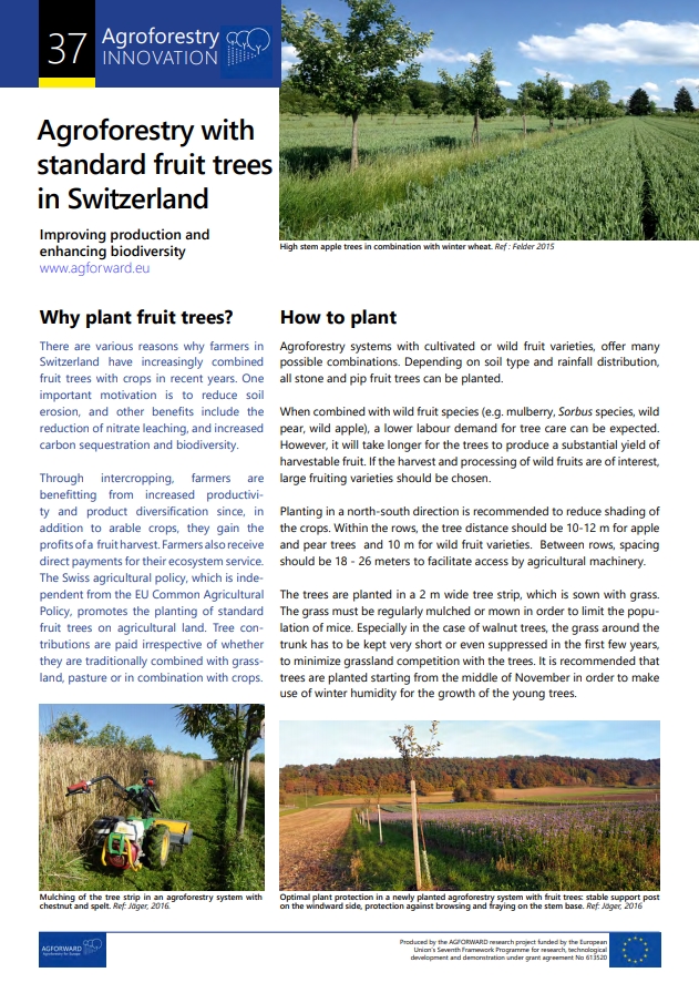 Hest lide historie Agroforestry with standard fruit trees in Switzerland - Improving  production and enhancing biodiversity | EURAF