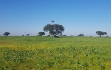 Foto de Raquel Almeida